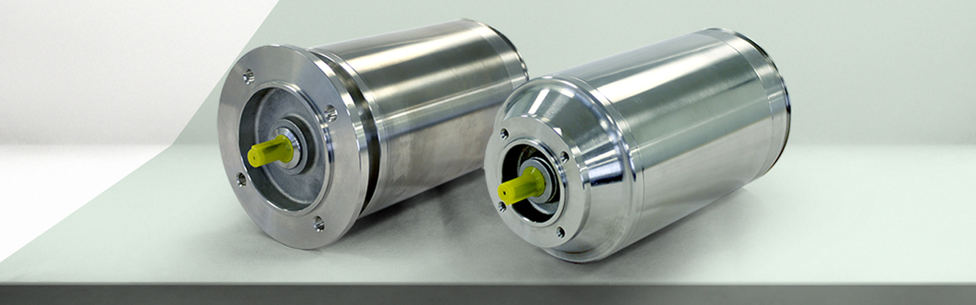 Gibbons stainless steel motors