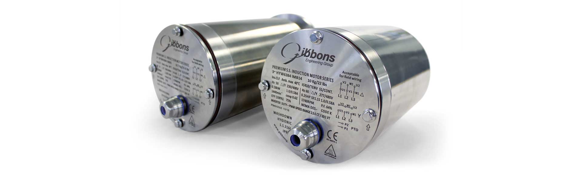 Motors for Food and Beverage Industry Motors for Food and Beverage Industry