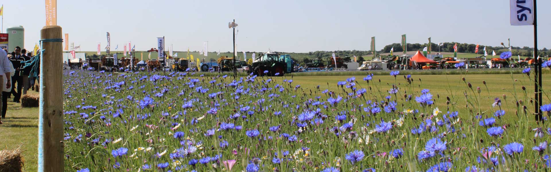 Cereals 2018