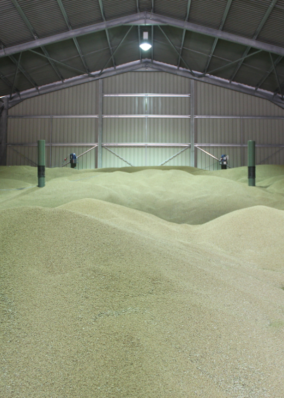 Leapingwells Farm | Gibbons Group Case Study | Agricultural Fans | Contractor