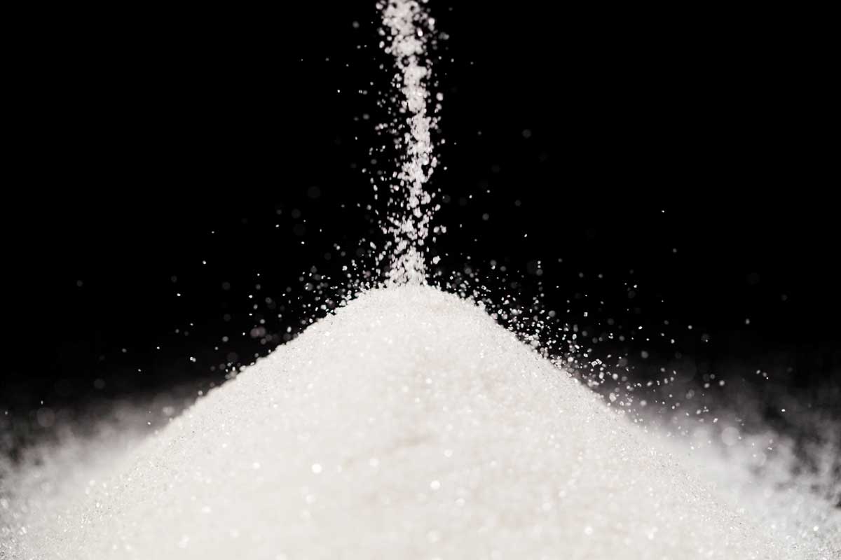 Eexpert engineers for the sugar industry