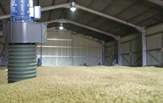 Pedestals in grain