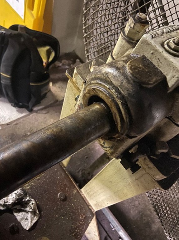 liverpool-uni-2 New Bearings